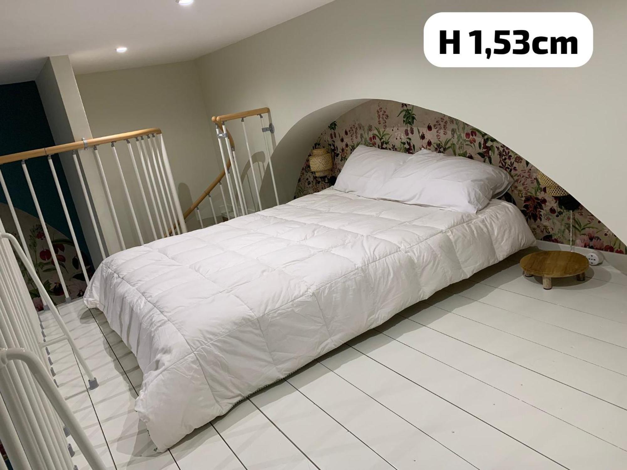 Loft 125 Passi Dal Colosseo 罗马 外观 照片